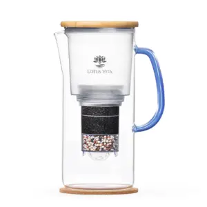 ENYA-Julilaeums-Edition-20-Jahre-Lotus-Vita-Seite